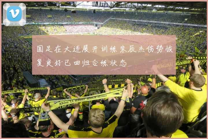 国足在大连展开训练朱辰杰伤势恢复良好已回归合练状态